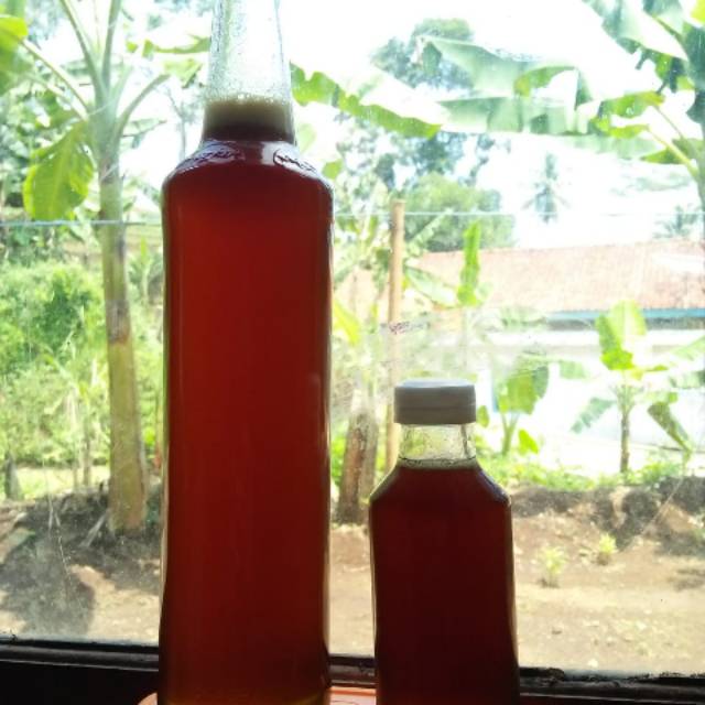 

Ondoan, hutan, dan klanceng