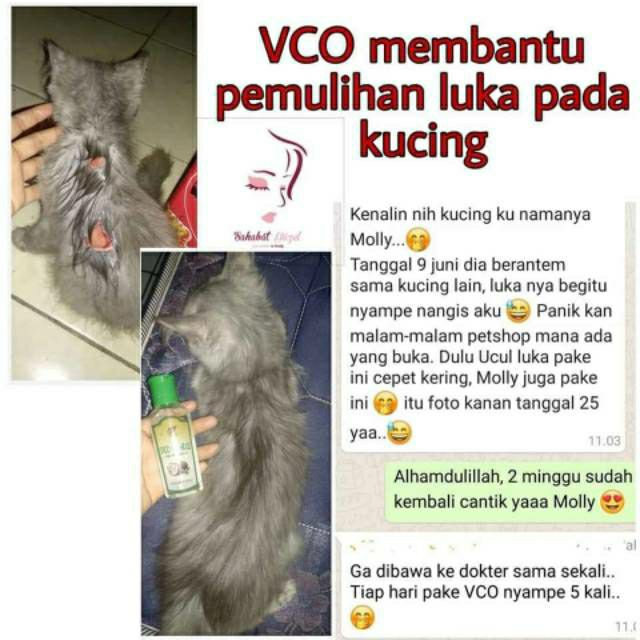 Vico Sr12 Obat Vitamin Hewan Bpom Vco Virgin Coconut Oil Minyak Kelapa Jamur Kucing Anjing Indonesia