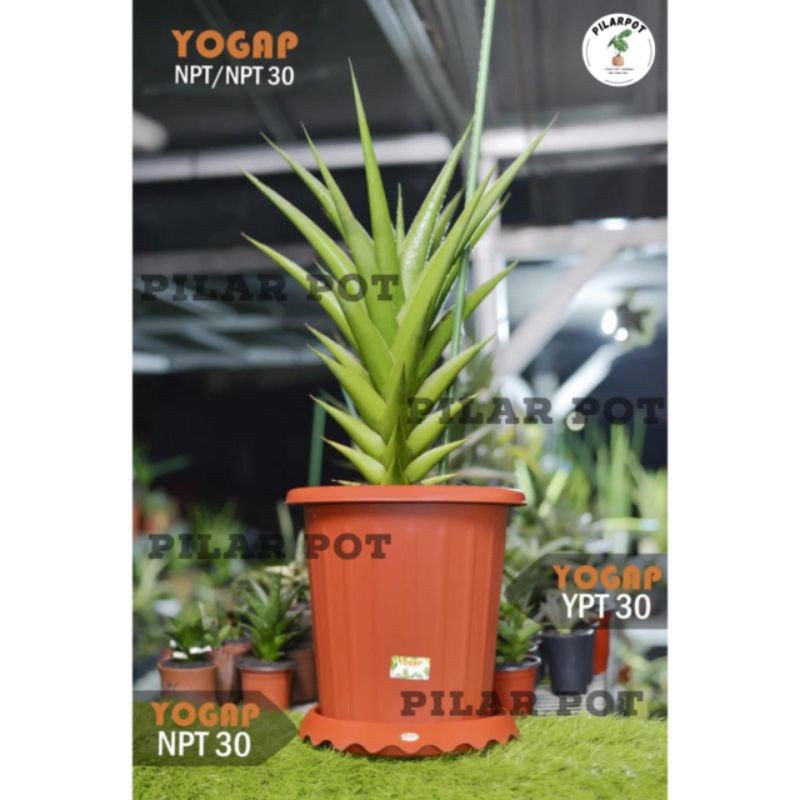 pot bunga tanaman tinggi yogap YPT 30 bahan tebal + tatakan npt 30