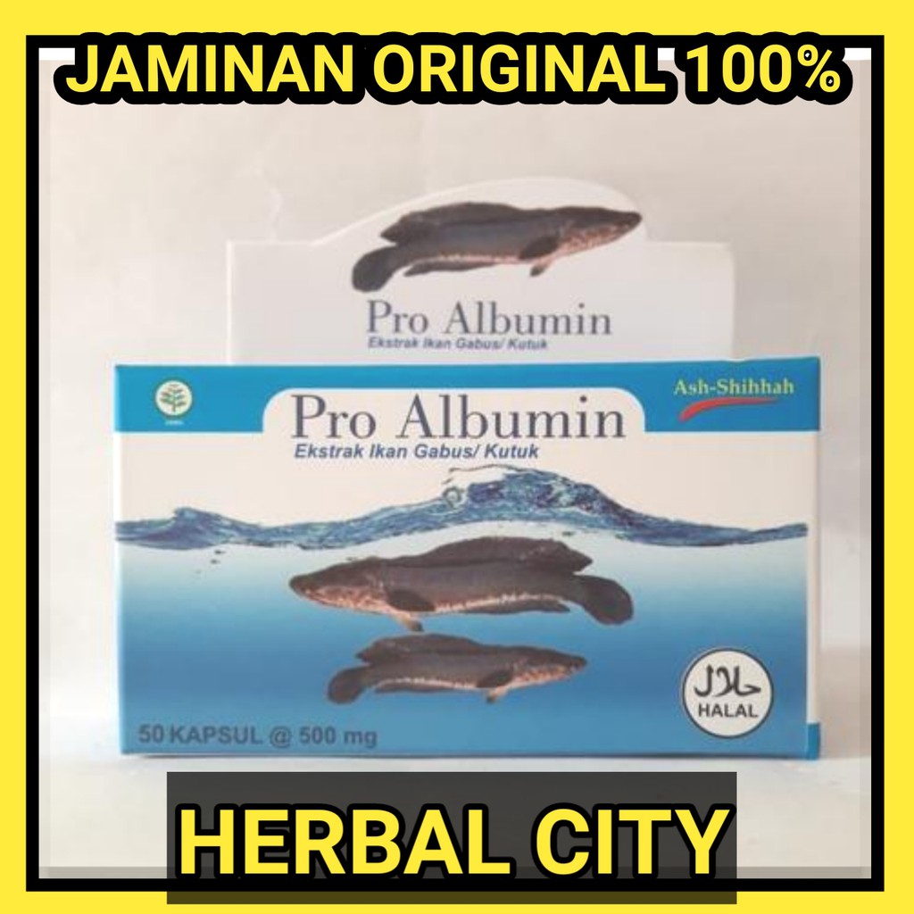 JAMINAN ORIGINAL Pro Albumin Ash-Shihhah 50 Kapsul Ekstrak Ikan Gabus / Ikan Kutuk Pro al bumin