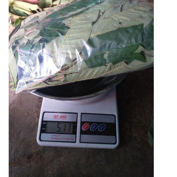 

✢Best HYJGE DAUN SUNGKAI 500 gram herbal covid 19 harga pendemi 77 ➫Ready Stock