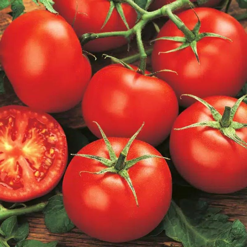 biji benih tomat buah super unggul /tomat buah sayuran alami