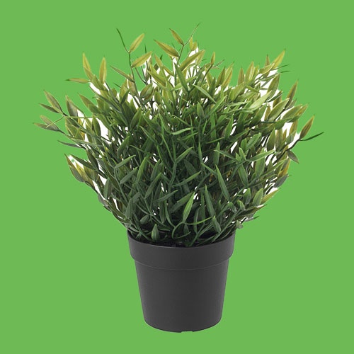 Tanaman tiruan dalam pot FEJKA , pogonatherum, 9 cm