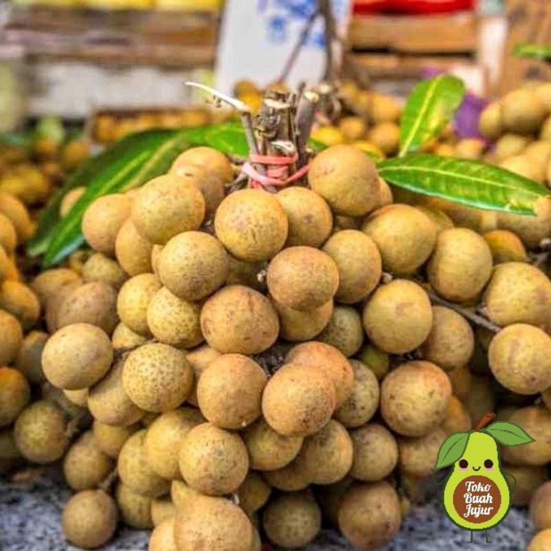 

BUAH KELENGKENG SEGAR MANIS