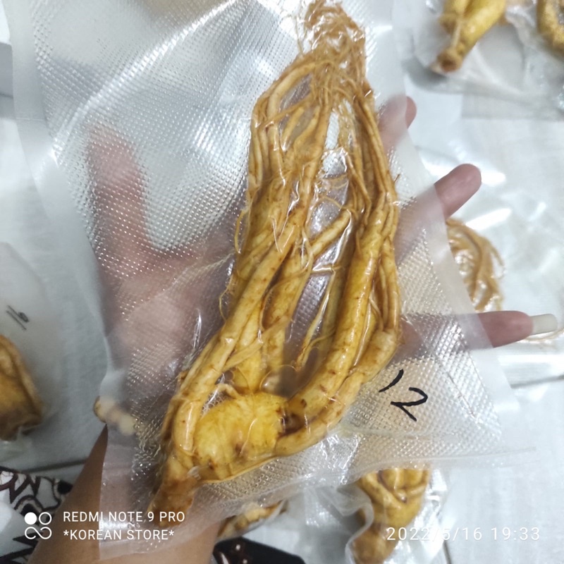 

GINGSENG KOREA