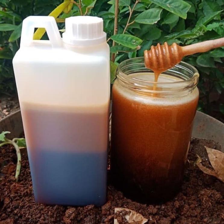 

[ SALE ] Madu asli hutan sumatera/raw honey apis dorsata 1kg