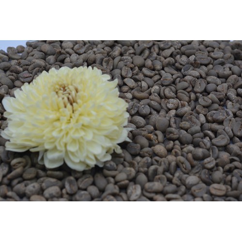 

KOPI BIJI LUWAK GREENBEAN KOPI BIJI MENTAH LUWAK LIAR 500Gr COFFEE BEANS 100% LUWAK LIAR