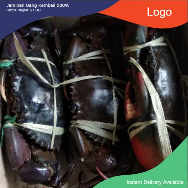 

Kepiting Fresh Hidup 500 Gram Up - 1 kilo isi 2 Ekor - Kepiting Bakau - Seafood.