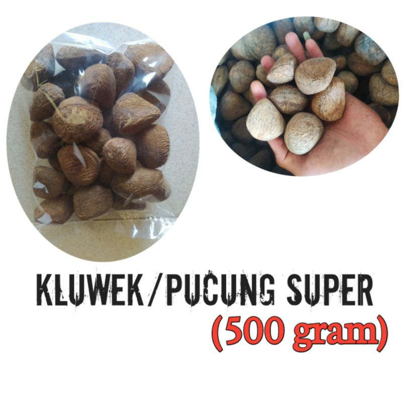 

kluwek/picung/rawon 500 gram