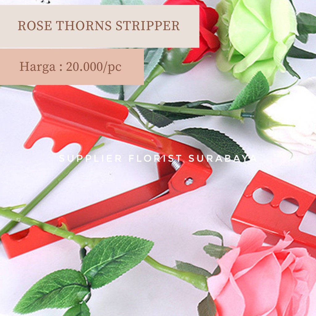 ROSE THORN THORNS STRIPPER PENCABUT PEMBERSIH PENGHILANG DURI BUNGA MAWAR BAHAN BESI WARNA MERAH