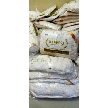 bantal harvest Guling Harvest