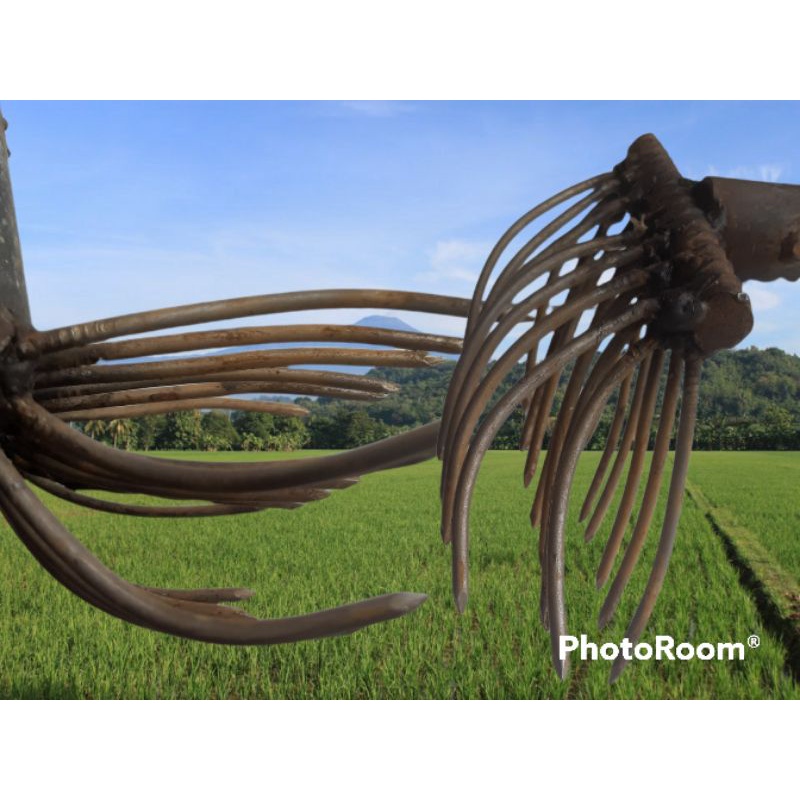 Alat cakar penyemai padi pembersih gulma