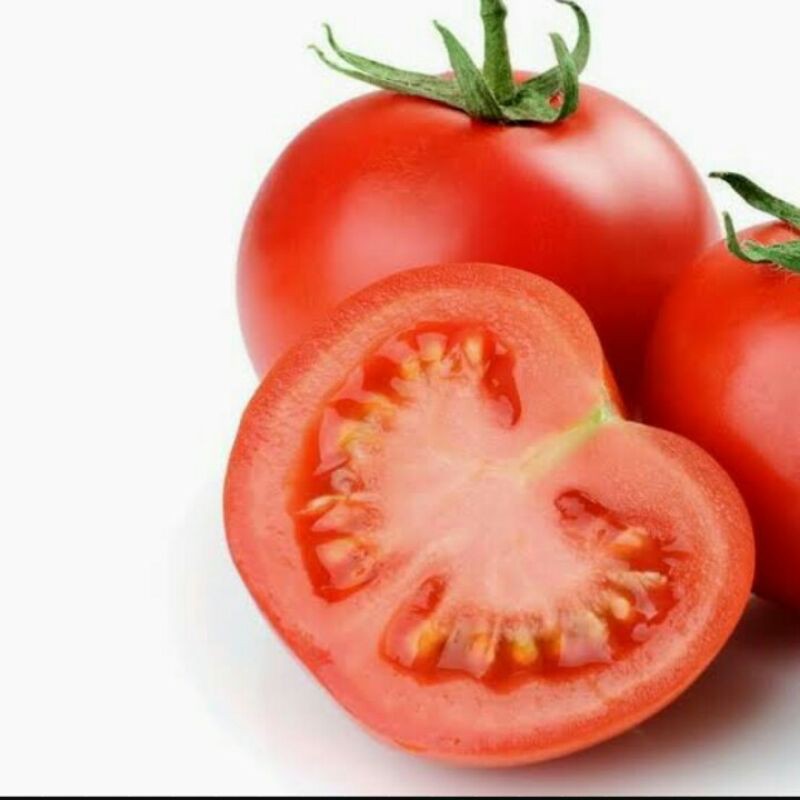 Benih Biji Bibit TOMAT / BUAH TOMAT