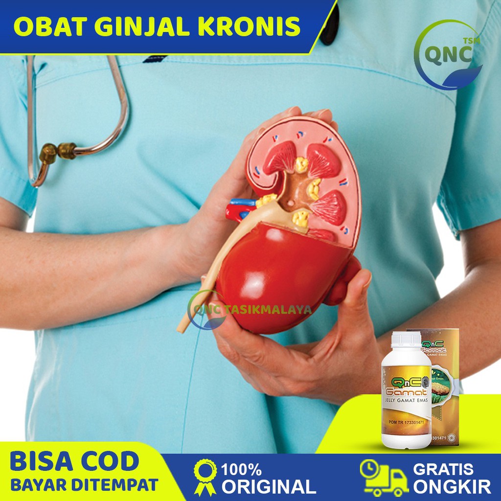 Obat Ginjal Kronis, Obat Gagal Ginjal Kronis, Obat Ginjal - QnC Jelly Gamat