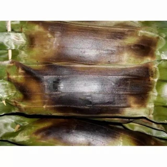 

⭐ COD ⭐ Paket Hemat Ukuran Jumbo Otak-Otak Ikan Bakar Halal