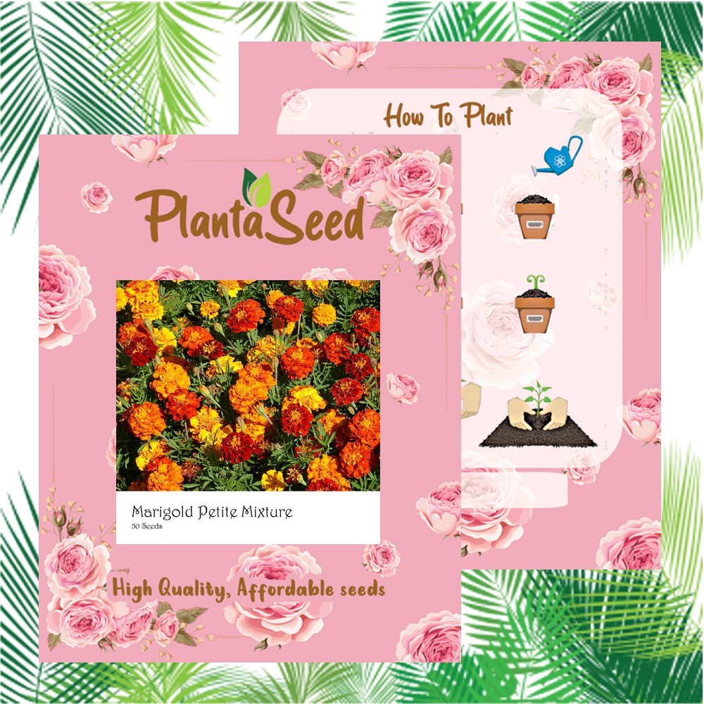 PlantaSeed - 50 Seeds - Marigold Petite Mixture Biji Bunga - PAS0204