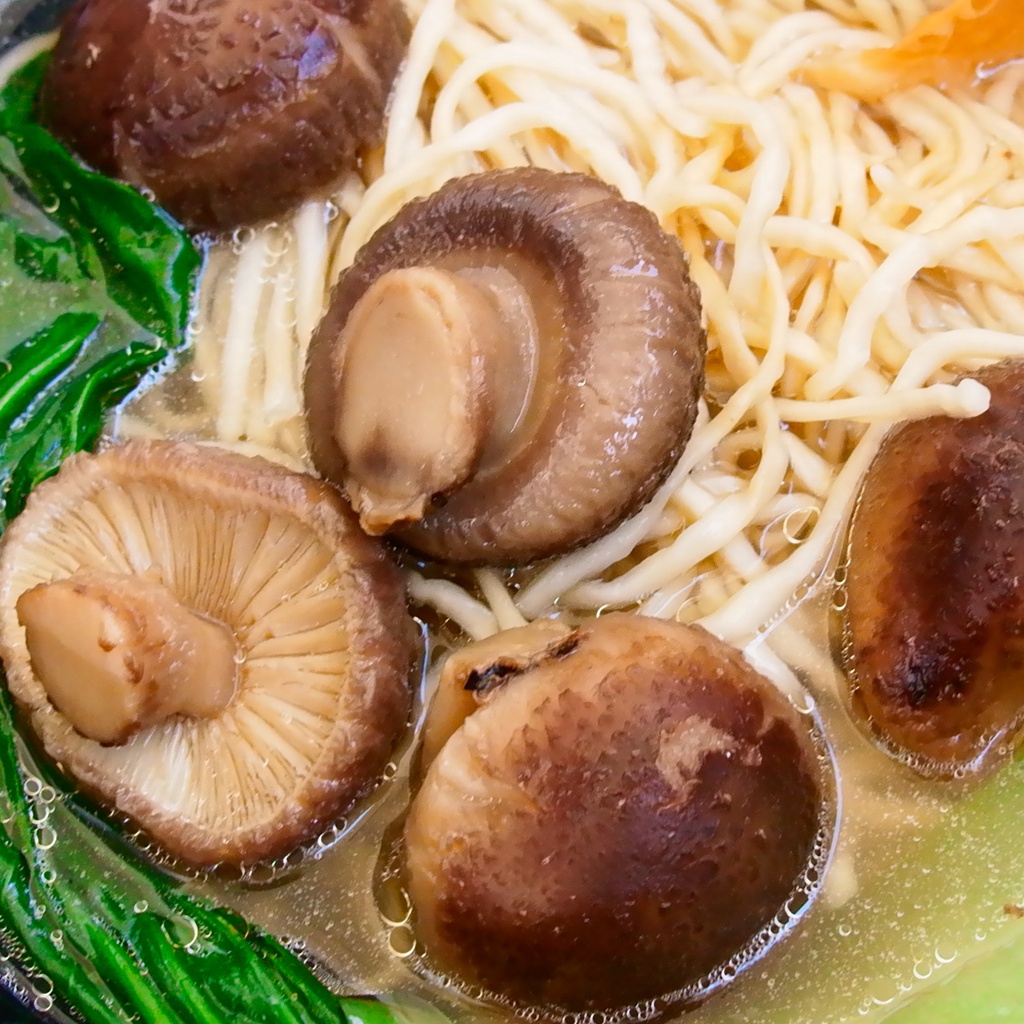 Jamur Hioko Shitake | Shiko Mushroom