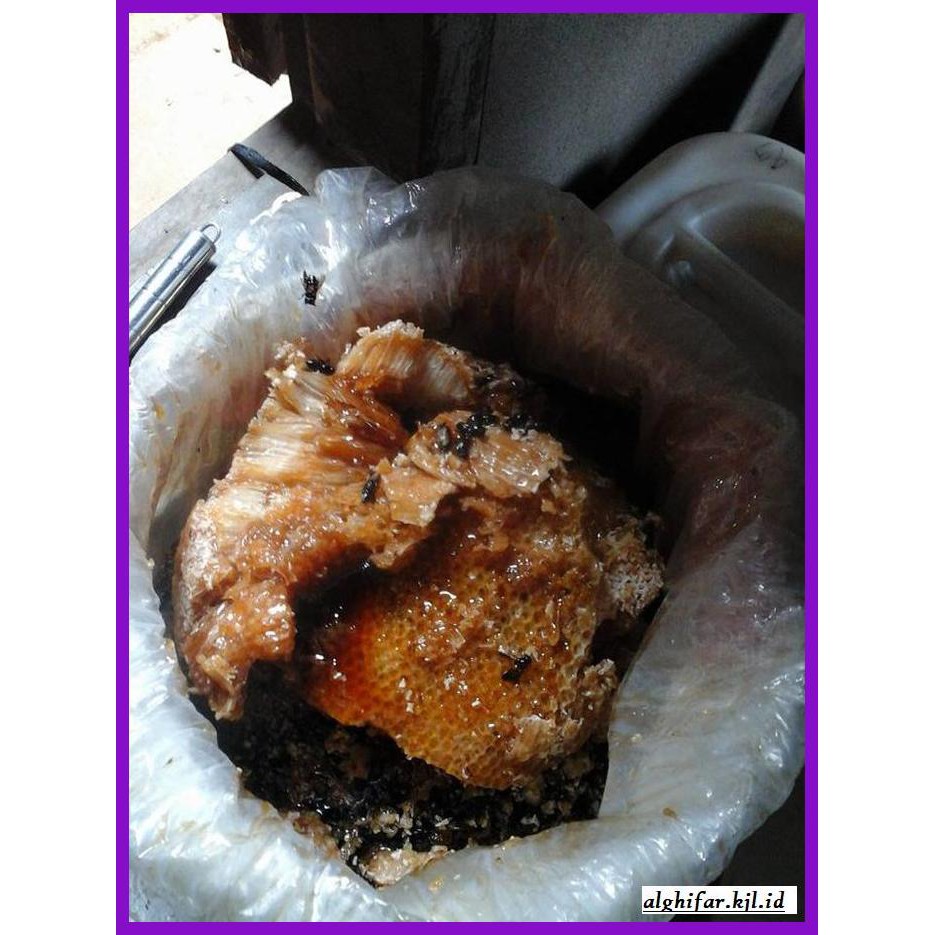 

MADU-MINUMAN- MADU HUTAN (RAW) 1,5 KG -ASLI-BUKAN-KAWE-KAWE-