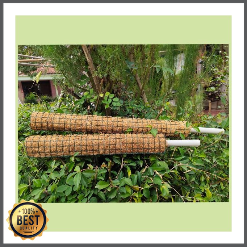 turus sabut kelapa 40cm media tanam bunga