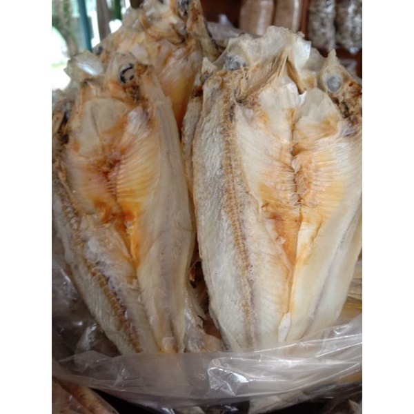 

ikan asin lea Cilacap