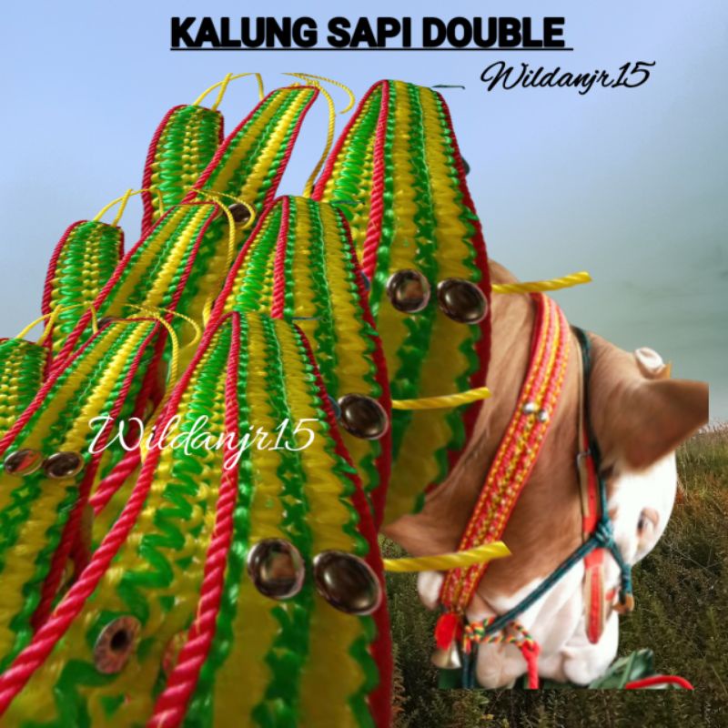 KALUNG SAPI /DOUBLE/LIMOSIN/KUDA