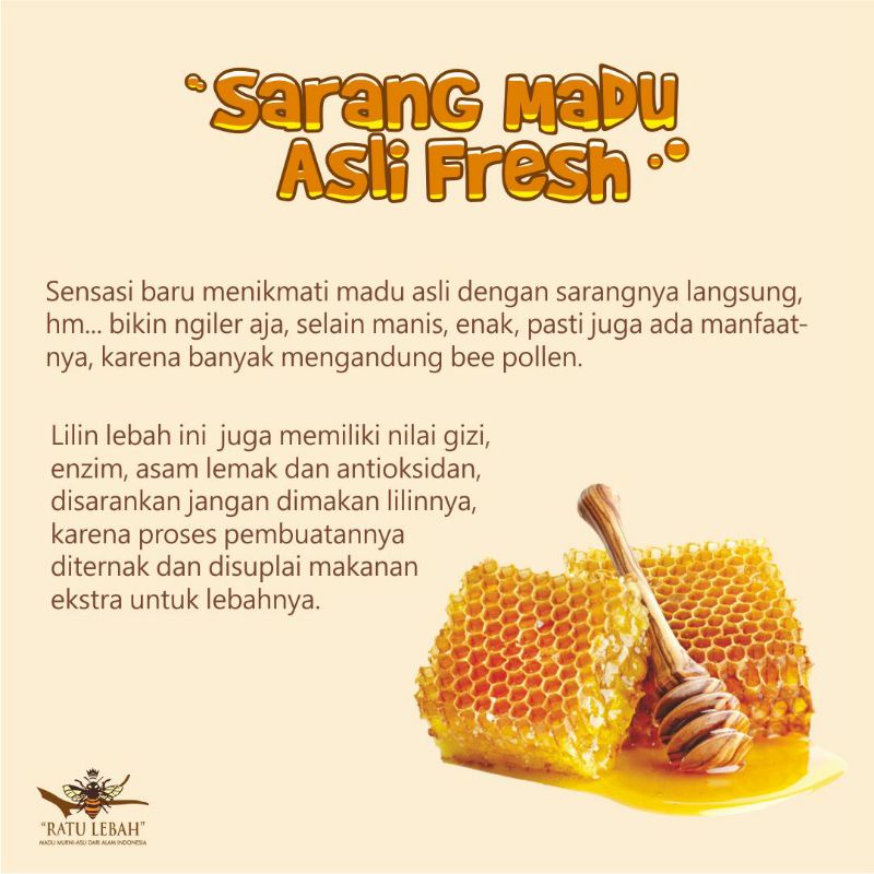 

Sarang Madu Asli