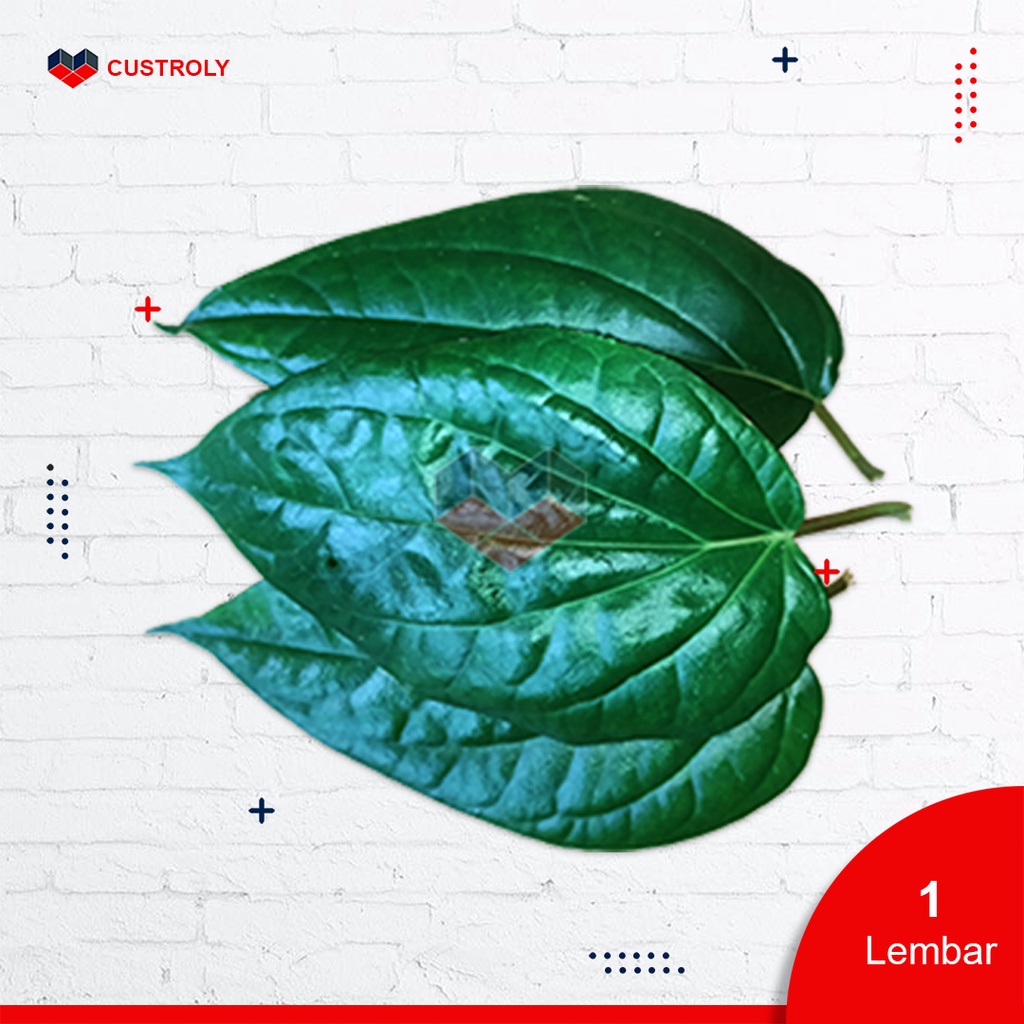 

[ BISA COD ] DAUN SIRIH SEGAR KUALITAS TERBAIK BEBAS PESTISIDA