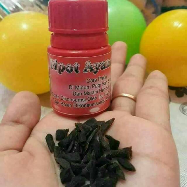 

Mpot Ayam Momo