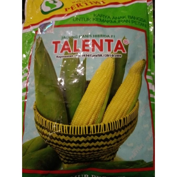 Jual Benih Jagung Manis Talenta F1 Berat 250gram Shopee Indonesia 5596