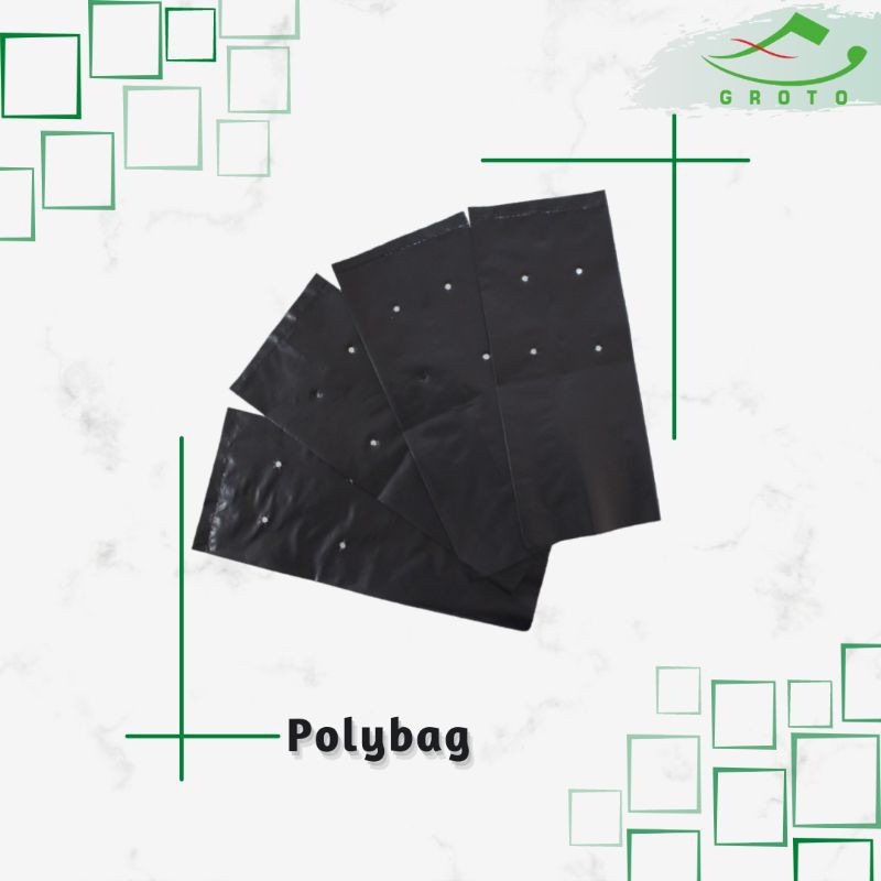 Polybag 15x20, 25x25, 30x30