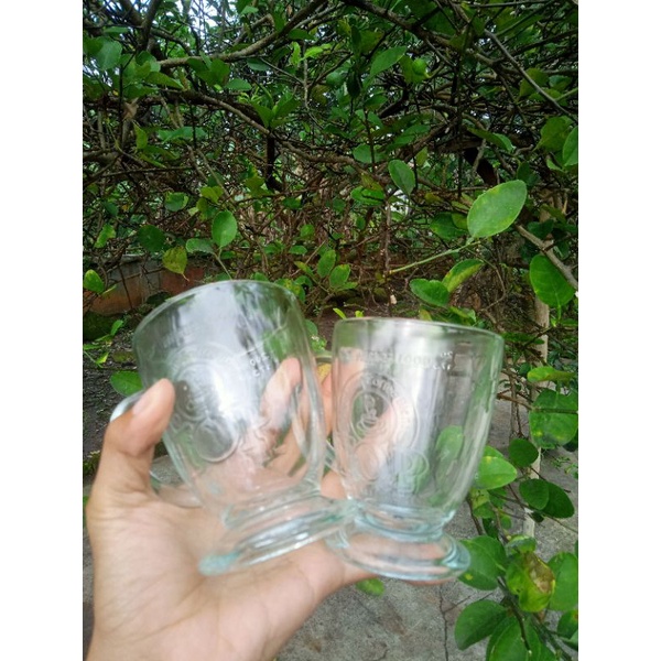 Gelas kaca, Gelas kopi,Gelas teh, hadiah top kopi, cangkir kopi