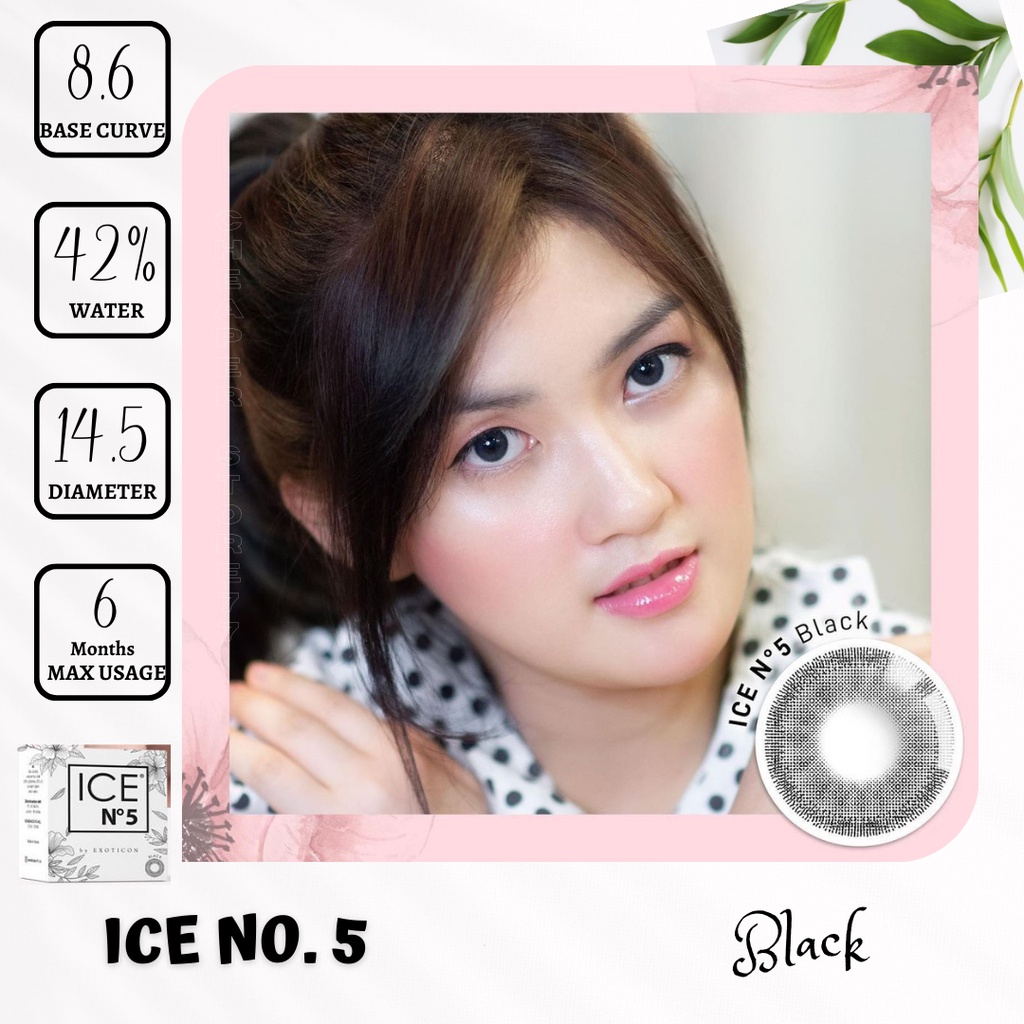 SOFTLENS X2 - ICE  NO. 5 MINUS ( - 3.00 S.D - 6.00 )