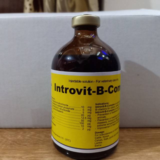 Introvit B-Complex