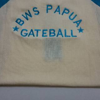 Kaos polos kerah murah polo shirt PE DOUBLE KNITE terima Kaos polos kerah murah polo shirt PE DOUBLE KNITE terima