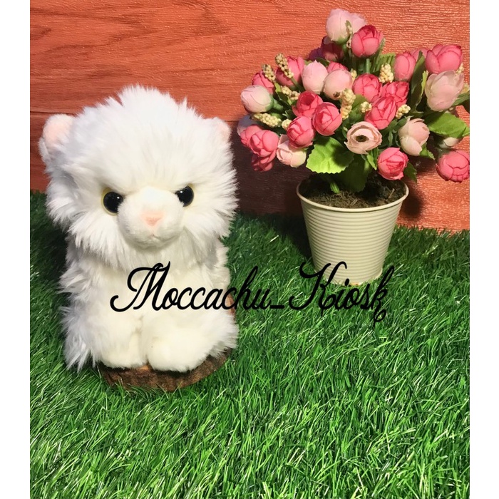 Diskon Spesial Boneka Anak Kucing Anggora Super Cute Termurah
