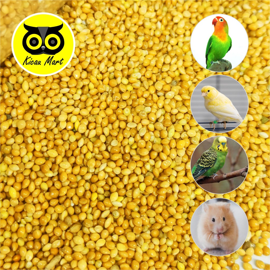 PAKAN MILET KUNING IMPORT GRADE A SEMPATI 1 KG YELLOW SEED SHORTIRAN BIJI MILET MILLET PAKAN BURUNG LOVEBIRD KENARI PARKIT PERKUTUT