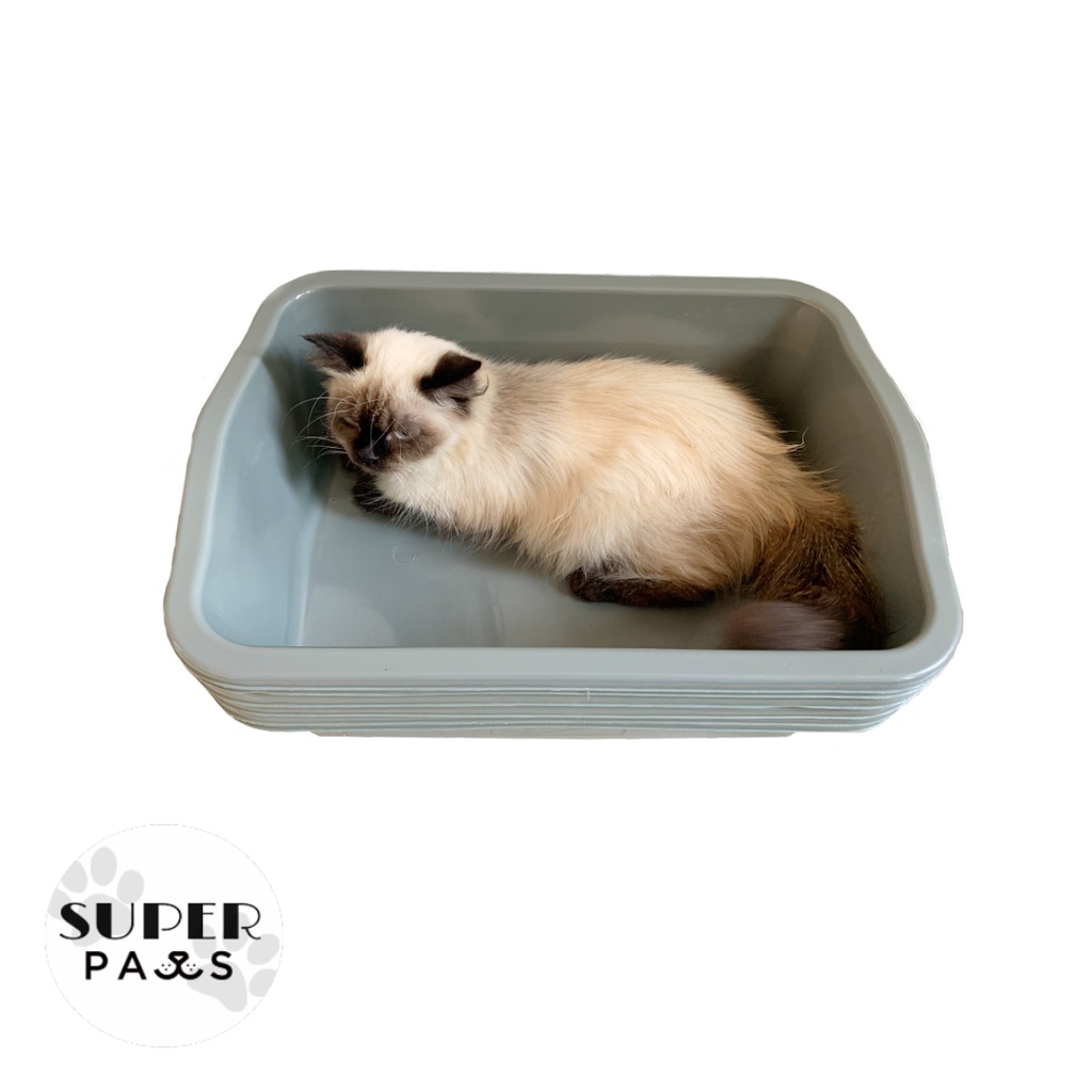 Litter Box Ukuran L Besar / Bak Pasir / Kotak Pasir Kucing