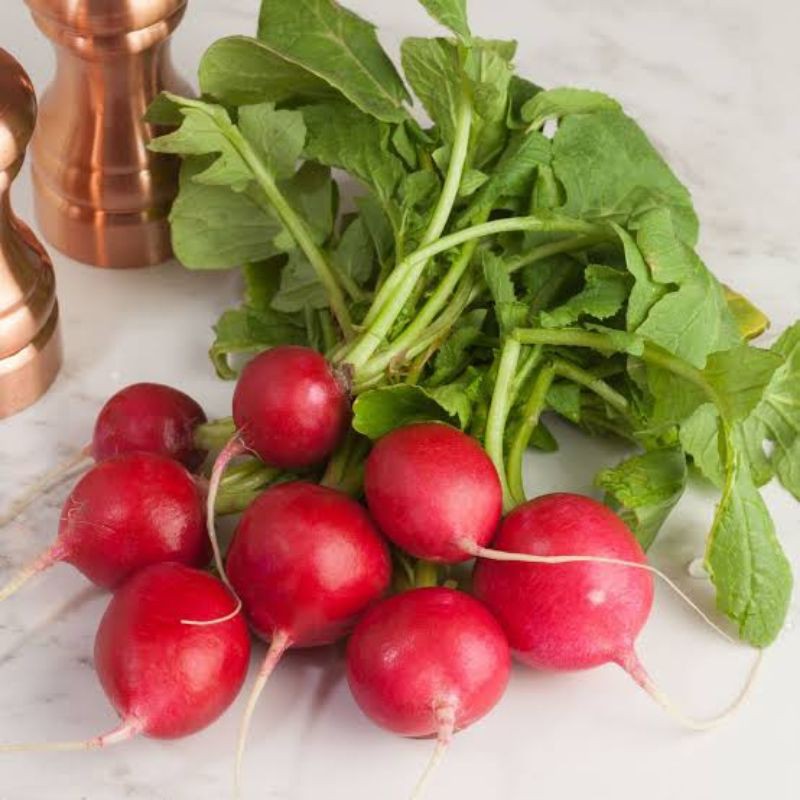 

Red Radish 500 gram/ Radish/ Lobak Merah