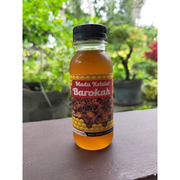 

madu kelulut asli kalimantan