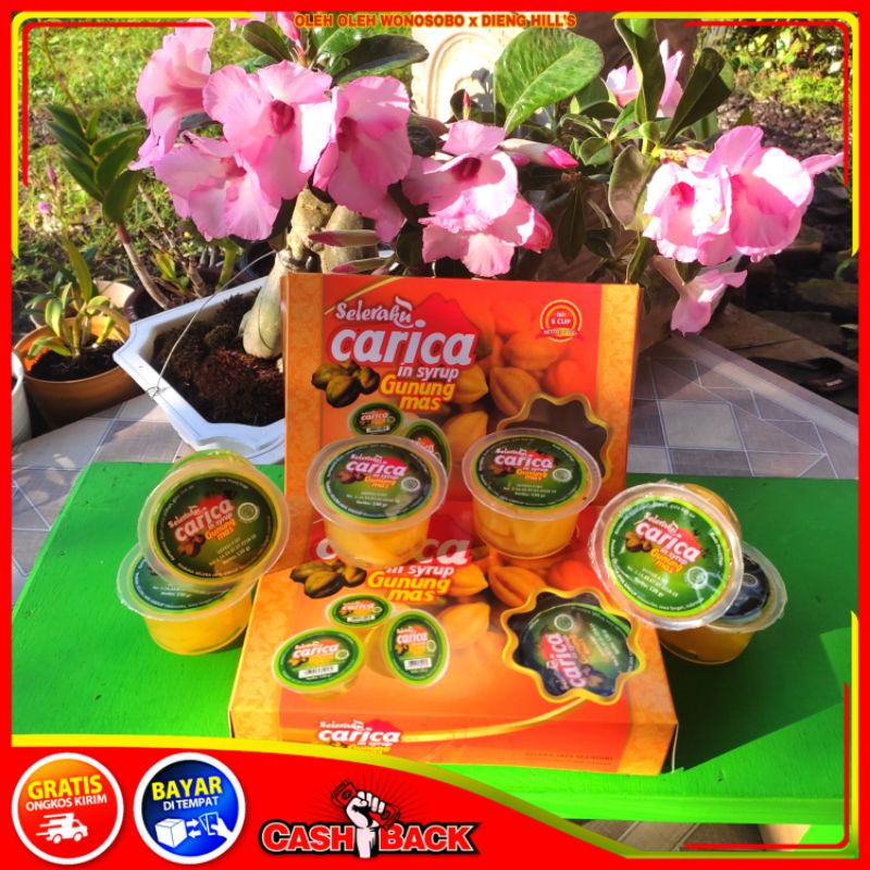 CARICA IN SYIRUP KHAS DIENG WONOSOBO