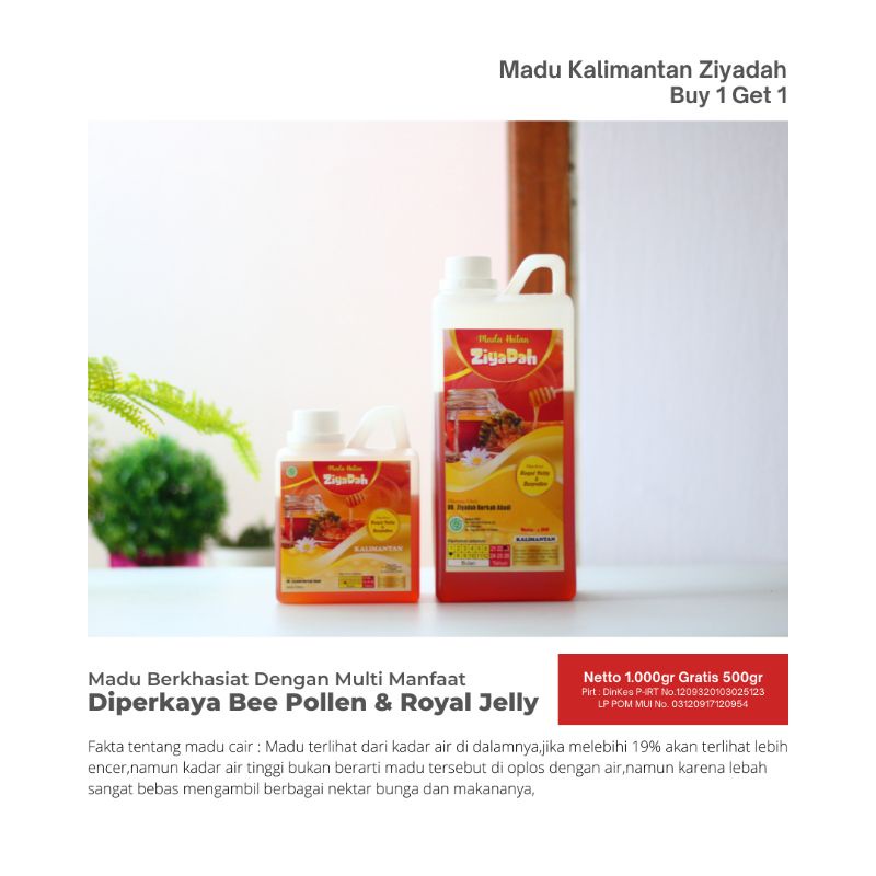 

Madu Kalimantan Ziyadah 1000gr + 500gr