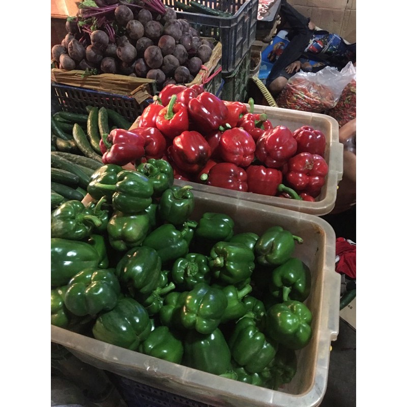 

Paprika Merah dan Hijau