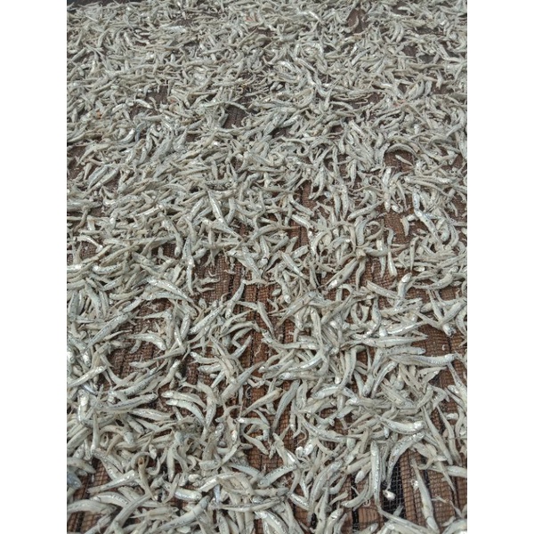 

Ikanteri(1000gram)