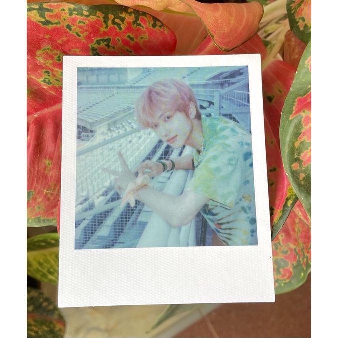 official polaroid jisung hello future
