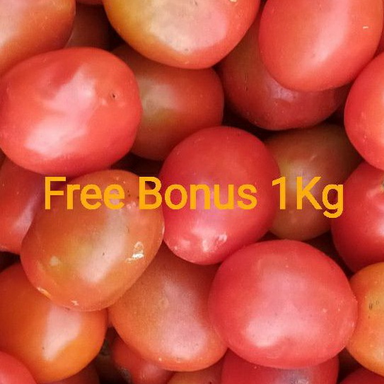 

Tomat Merah uk ½kg + Gratis Bonus