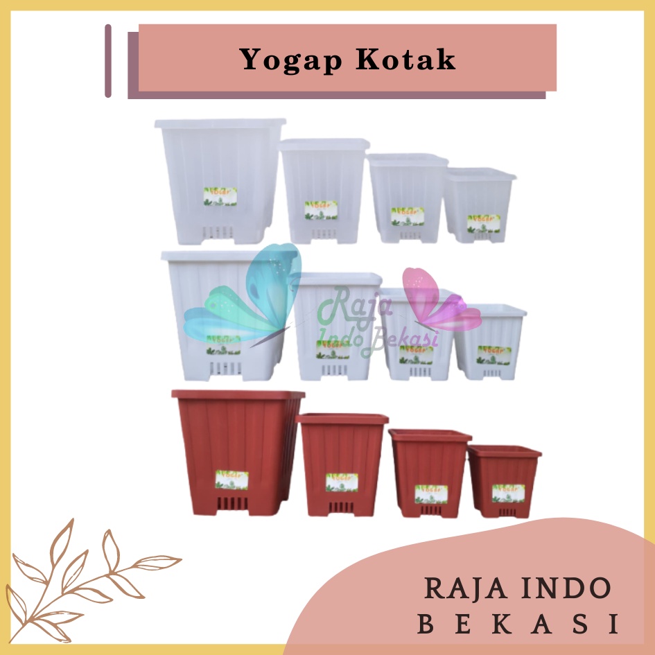 Pot Yogap Kotak 8 10 12 15 Putih Transparan Bening Merah Bata Coklat Terraccota Terakota Orange Pot Segi Empat Hias Pot Yogap 10 13 15 17 18 19 25 30 Pot Yogap Lusinan Pot Kotak Panjang Kecil 8 Cm Tinggi