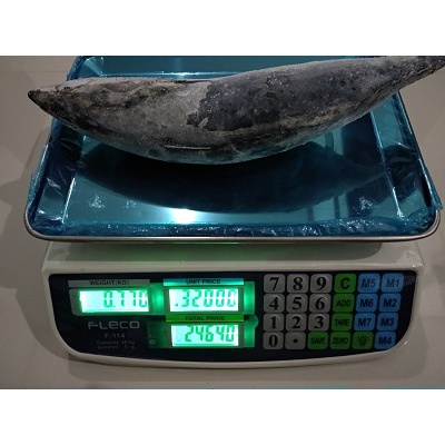 

Ikan Cakalang Beku 770 Gram