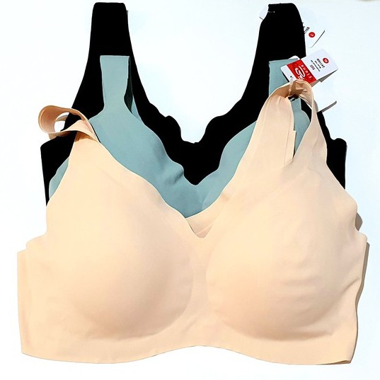 Bra / BH Elena 24116B (Padding Bisa Lepas, Cup B, Tanpa Kawat)