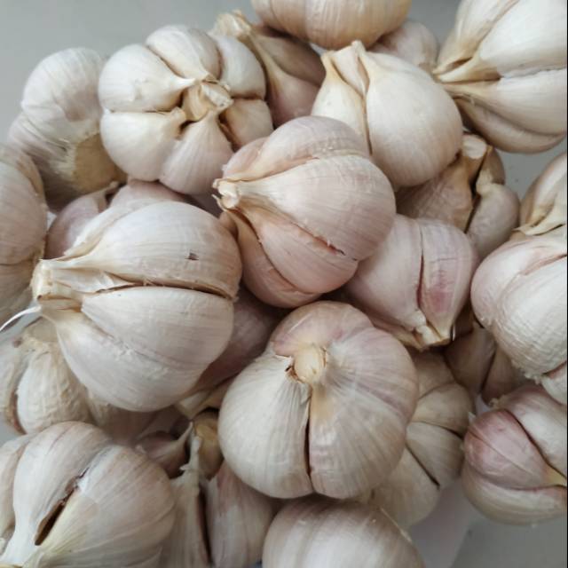 

Bawang kating kering tua kwalitas super 250gr