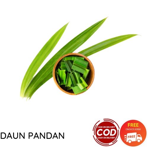 DAUN PANDAN